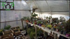 Asociación Amigos de la Jardinería Daniel Auer