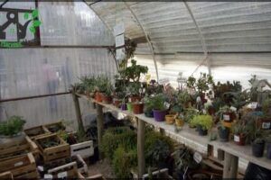 Asociación Amigos de la Jardinería Daniel Auer