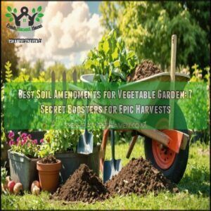 best soil amendments for vegetable garden