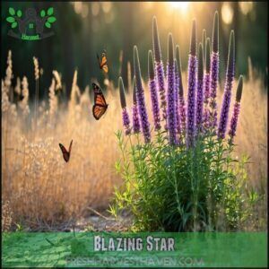 Blazing Star