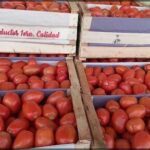 boxes of tomatoes are stacked on top of each other in a market