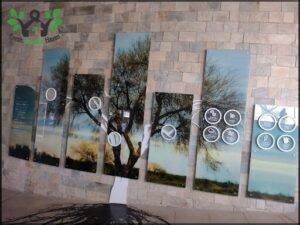 Centro Ambiental Anchipurac 0