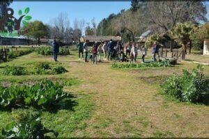 Children's Farm