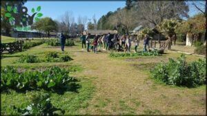 Children's Farm