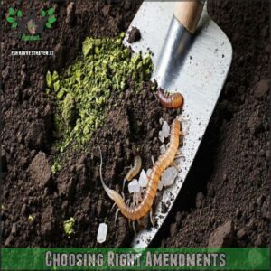 Choosing Right Amendments