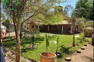 Ciudad Guna