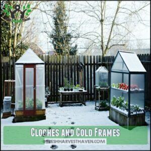 Cloches and Cold Frames