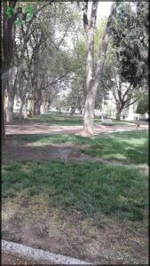 Club De Jardineria Maipue