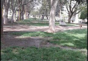 Club De Jardineria Maipue