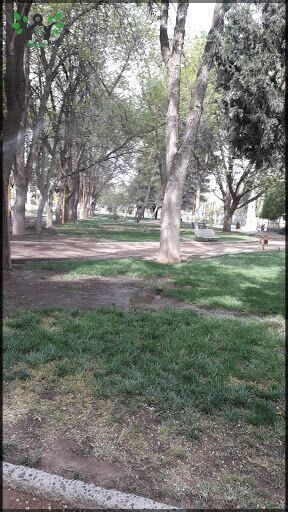 Club De Jardineria Maipue