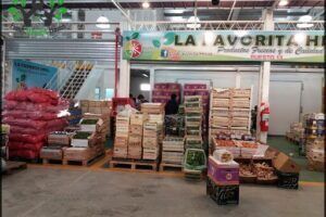 Concentrator market Chubut