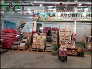 Concentrator market Chubut