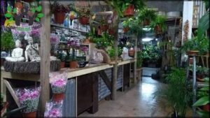 CONCEPTO PLANTA