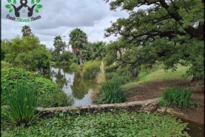 Córdoba Botanical Garden