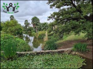 Córdoba Botanical Garden