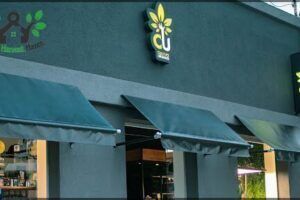 Cultivo Urbano Córdoba | Growshop