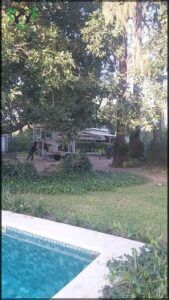 Duende del Jardín 0