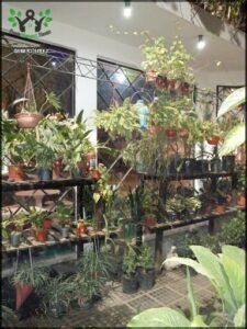 El Portal De Las Plantas