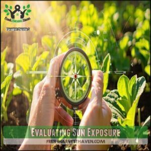 Evaluating Sun Exposure