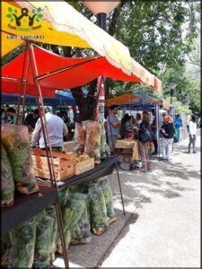 Feria Agroecológica UNC – Córdoba