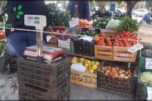 Feria del Productor al Consumidor