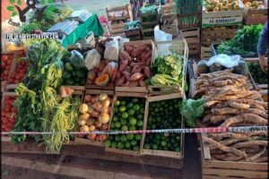 Feria Franca Itaembé Miní