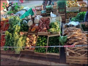 Feria Franca Itaembé Miní