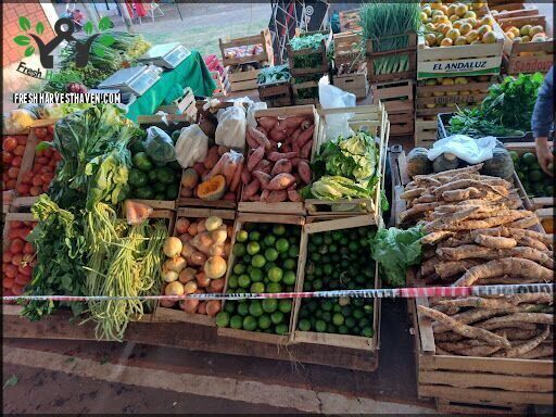 Feria Franca Itaembé Miní
