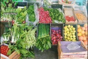 Feria Hortícola