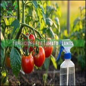 Fungicides for Tomato Plants