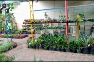 Garden Vivero