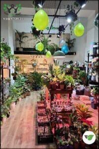 Gardening Time Vivero Boutique de Plantas & Deco