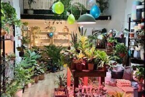Gardening Time Vivero Boutique de Plantas & Deco