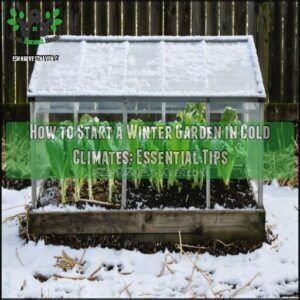 how to start a winter garden in cold climates