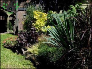 Jardinería Urbana