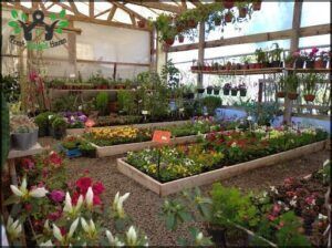 La Casa De Stelina ~ Vivero