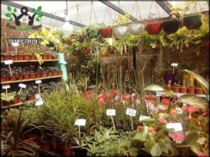 La Florera - Almacén de Jardinería