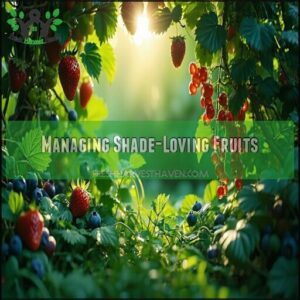 Managing Shade-Loving Fruits