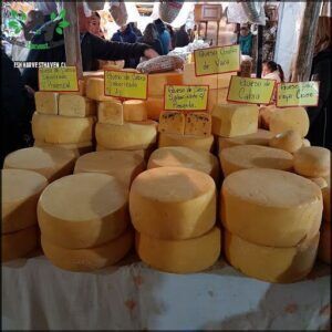 Mercado Artesanal La Rioja