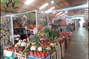 Mercado de Abasto "El Piso "