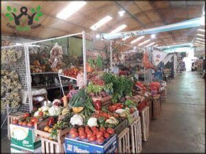 Mercado de Abasto "El Piso "