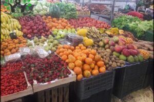Municipal Fresh Market