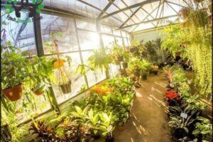 Old Forest Garden Center