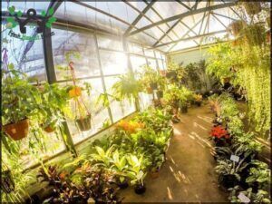 Old Forest Garden Center