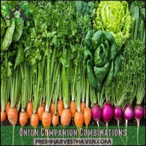 Onion Companion Combinations