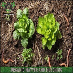 Organic Matter and Mulching