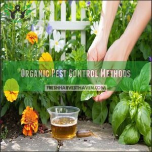 Organic Pest Control Methods