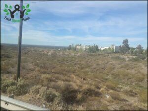 Parque Industrial