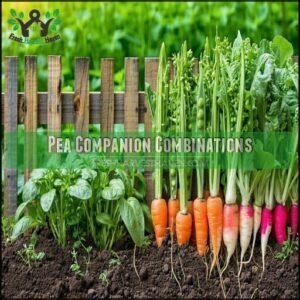 Pea Companion Combinations