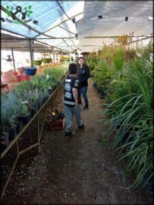people are looking at plants in a greenhouse with a skylight